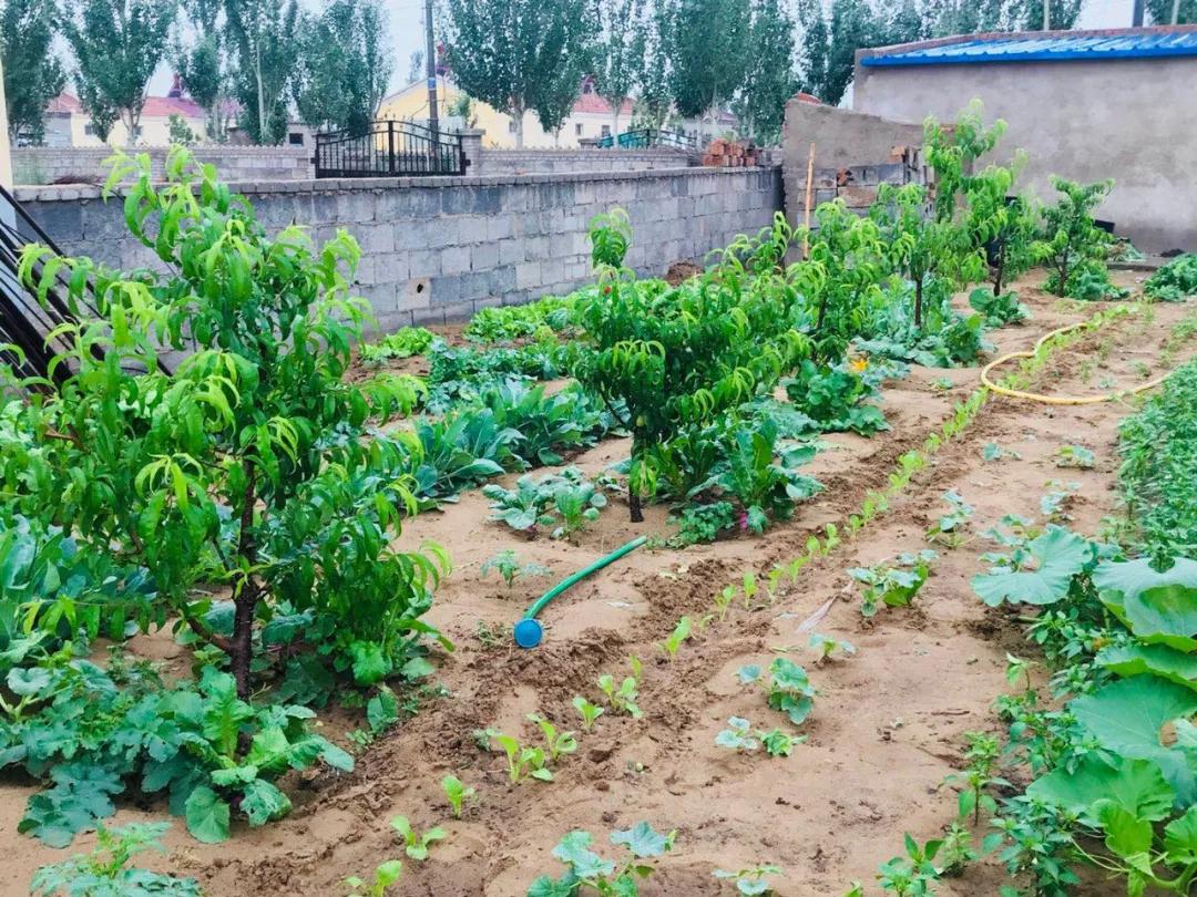 1561596800127318.jpg 11.jpg