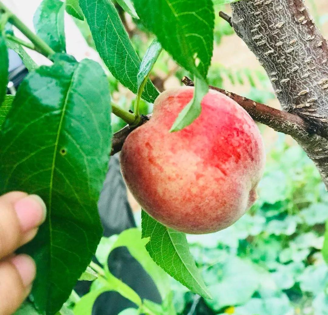 1561596821121048.jpg 12.jpg